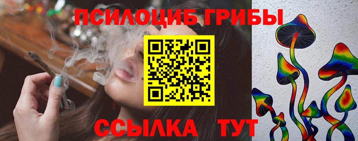 Галлюциногенные грибы Psilocybine cubensis Саянск