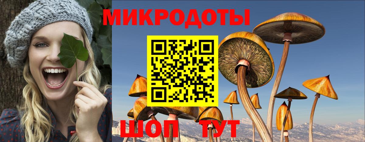 Саянск  Галлюциногенные грибы Psilocybine cubensis  Вход с VPN 